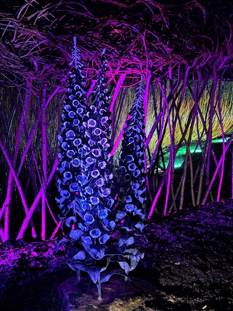 Illuminated Flowers